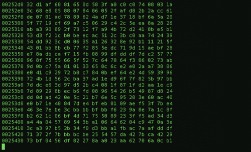 Animated terminal / code rain